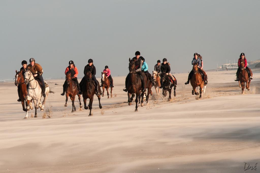 Strandhotel De Vassy Egmond aan Zee Luaran gambar