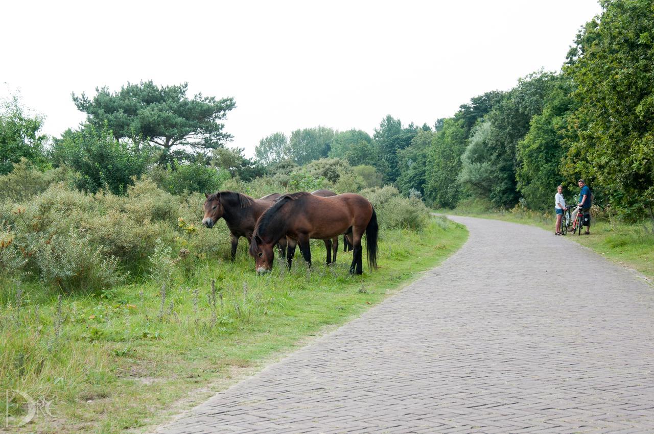 Strandhotel De Vassy Egmond aan Zee Luaran gambar